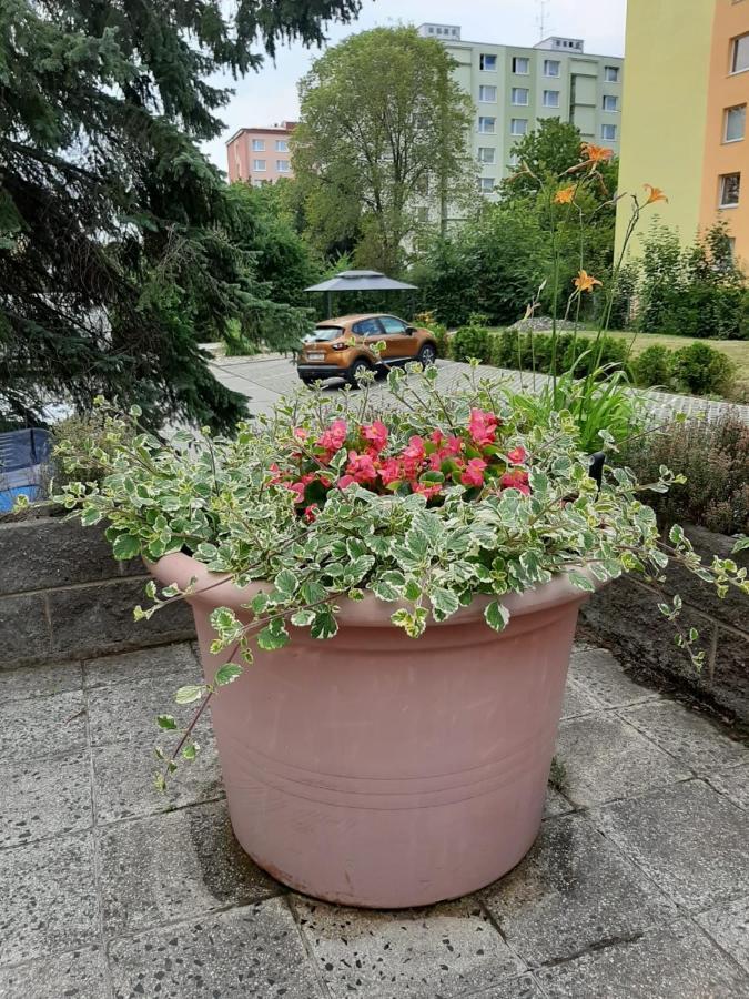 Žlutý apartmán v Chomutově Apartamento Exterior foto
